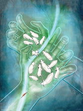 Load image into Gallery viewer, "Preservation"